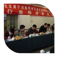 2006年3月10日，“產(chǎn)生負(fù)離子功能粉體及相關(guān)建材制品測試方法”行業(yè)標(biāo)準(zhǔn)審查會在北京召開。